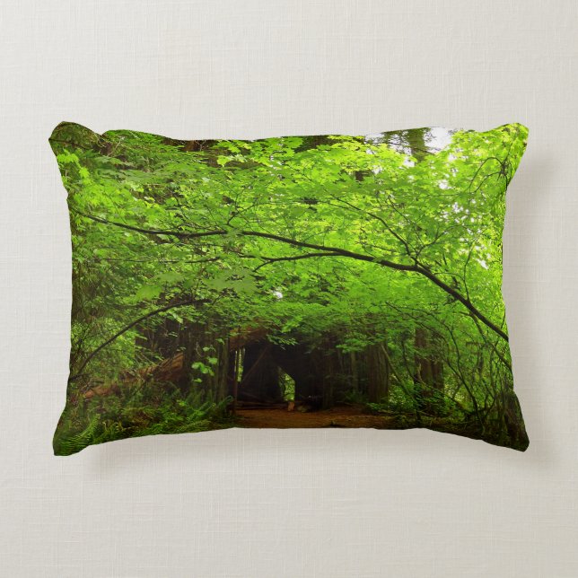 Maple Trees in Redwood Forest Accent Pillow (Front)