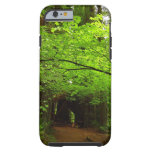 Maple Trees in Redwood Forest Tough iPhone 6 Case