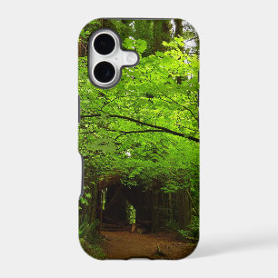 Maple Trees in Redwood Forest iPhone 17 Case