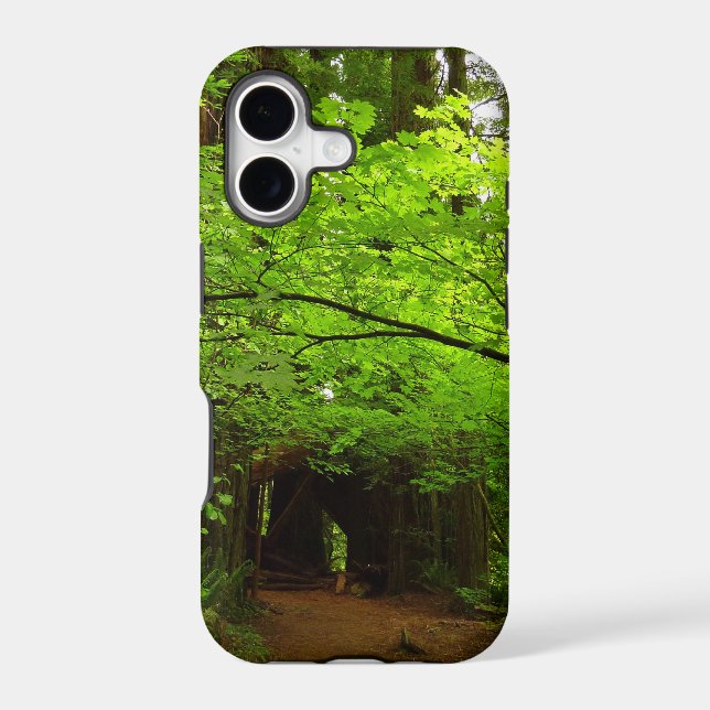 Maple Trees in Redwood Forest Case-Mate iPhone Case (Back)