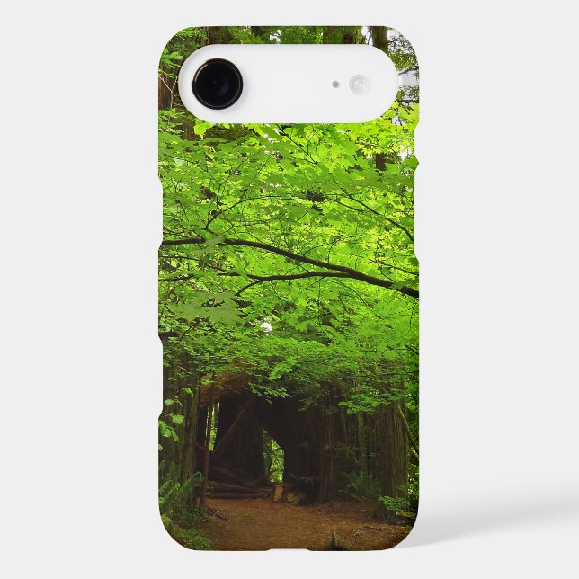 Maple Trees in Redwood Forest Case-Mate iPhone Case (Back)