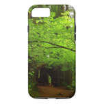 Maple Trees in Redwood Forest iPhone 8/7 Case