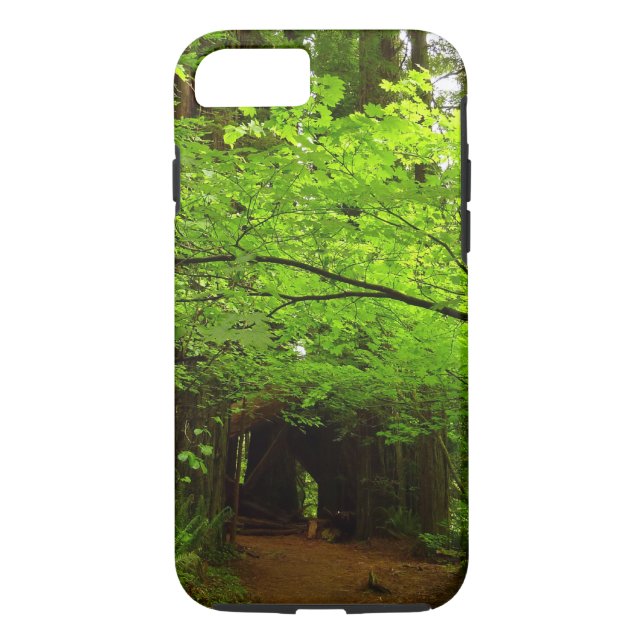 Maple Trees in Redwood Forest Case-Mate iPhone Case (Back)