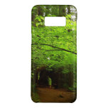 Maple Trees in Redwood Forest Case-Mate Samsung Galaxy S8 Case