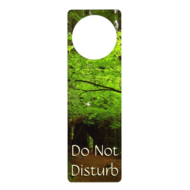 Maple Trees in Redwood Forest Door Hanger (Front)