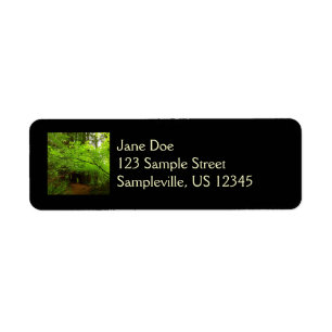 Maple Trees in Redwood Forest Label