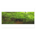 Maple Trees in Redwood Forest Rectangular Sticker