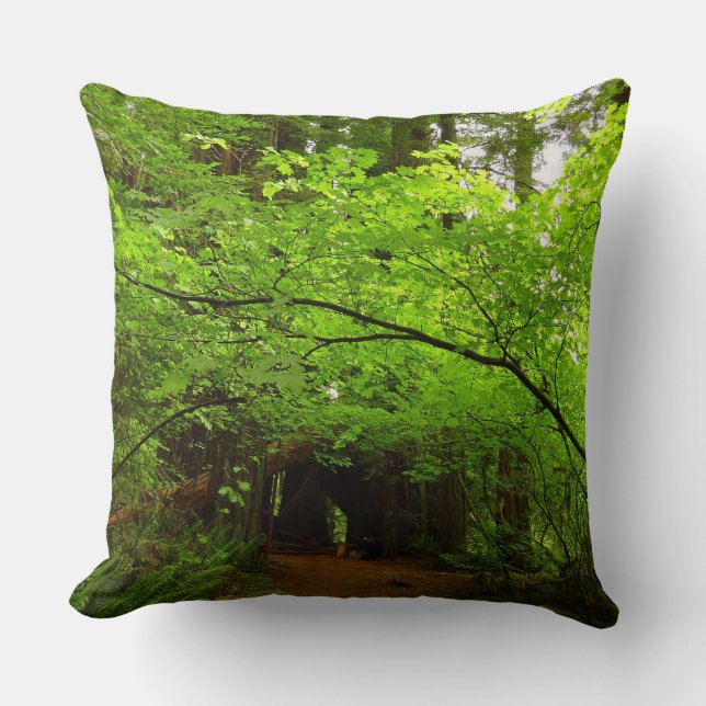 Maple Trees in Redwood Forest Throw Pillow (Front)