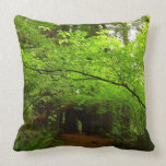 Maple Trees in Redwood Forest Throw Pillow