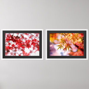 Maple Trees Leaves Design-29997 Wall Art Sets