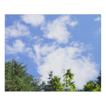 Maple Trees Nature Landscape Wall Art Blue Sky