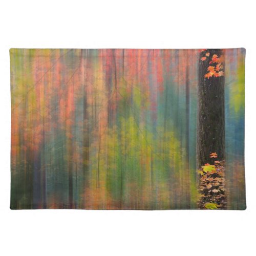Maple Trees  Silver Falls State Park Cloth Placemat