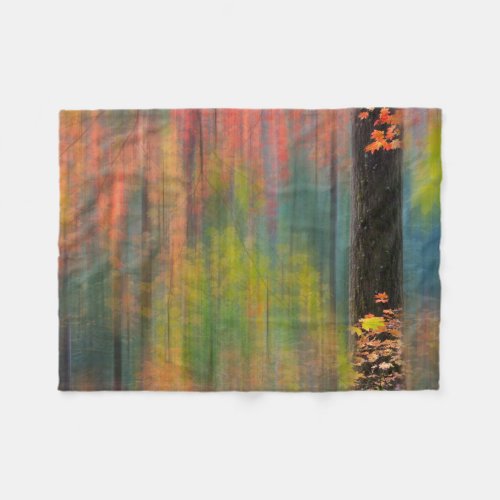 Maple Trees  Silver Falls State Park Fleece Blanket