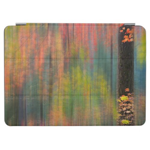 Maple Trees  Silver Falls State Park iPad Air Cover