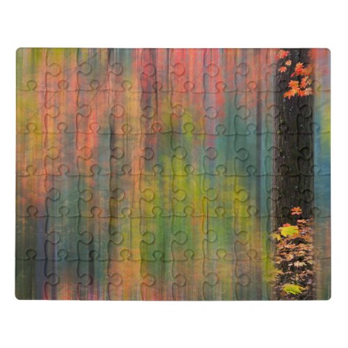 Maple Trees  Silver Falls State Park Jigsaw Puzzle