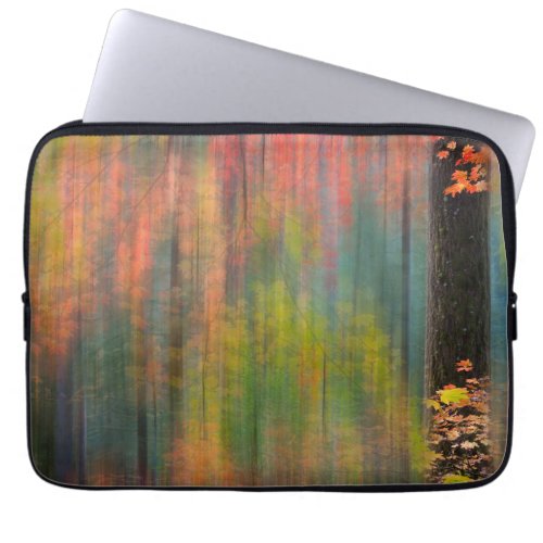 Maple Trees  Silver Falls State Park Laptop Sleeve