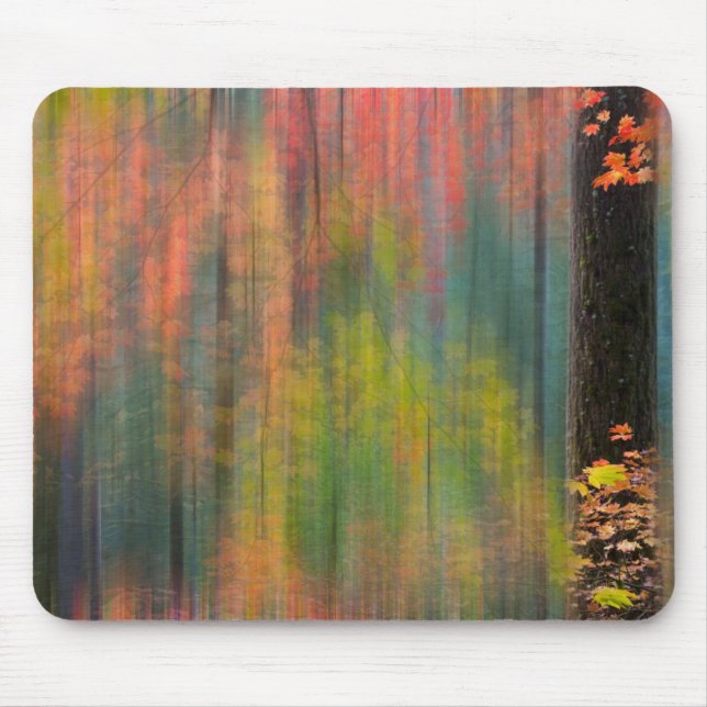 Maple Trees | Silver Falls State Park Mouse Pad (Front)
