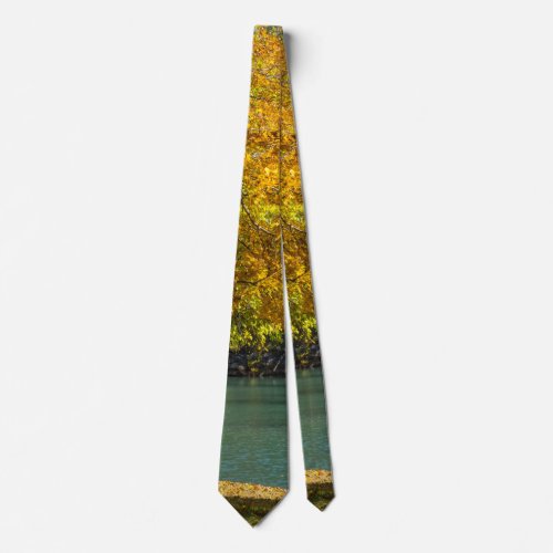 Maple Umbrella Over Dogwood Creek Neck Tie