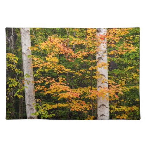 Maple  White Birch  White Mountains NH Cloth Placemat