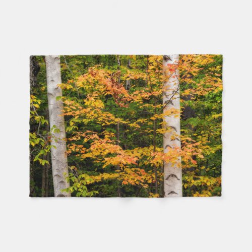 Maple  White Birch  White Mountains NH Fleece Blanket