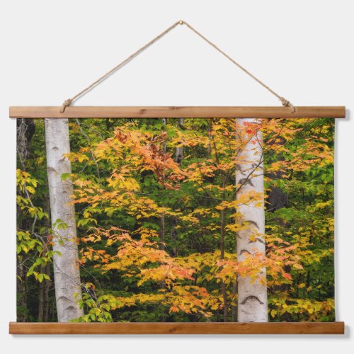 Maple  White Birch  White Mountains NH Hanging Tapestry