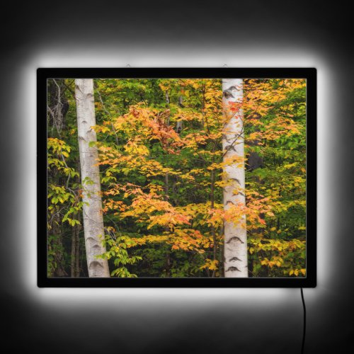 Maple  White Birch  White Mountains NH LED Sign