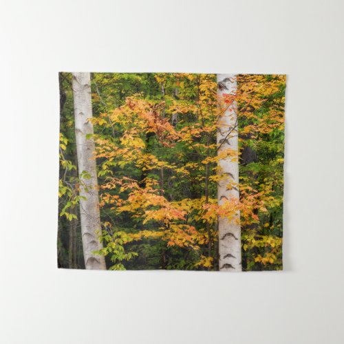 Maple  White Birch  White Mountains NH Tapestry