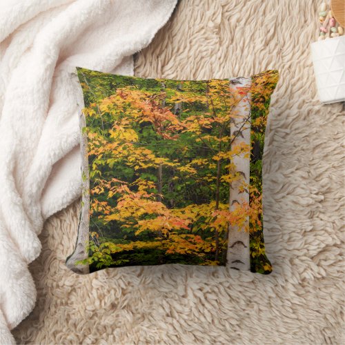 Maple  White Birch  White Mountains NH Throw Pillow