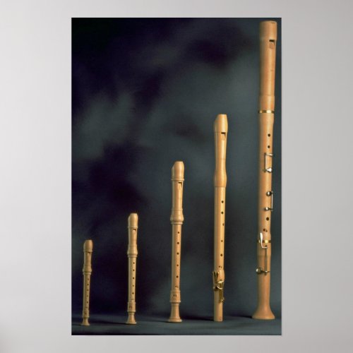 Maple wood recorders wind instruments poster