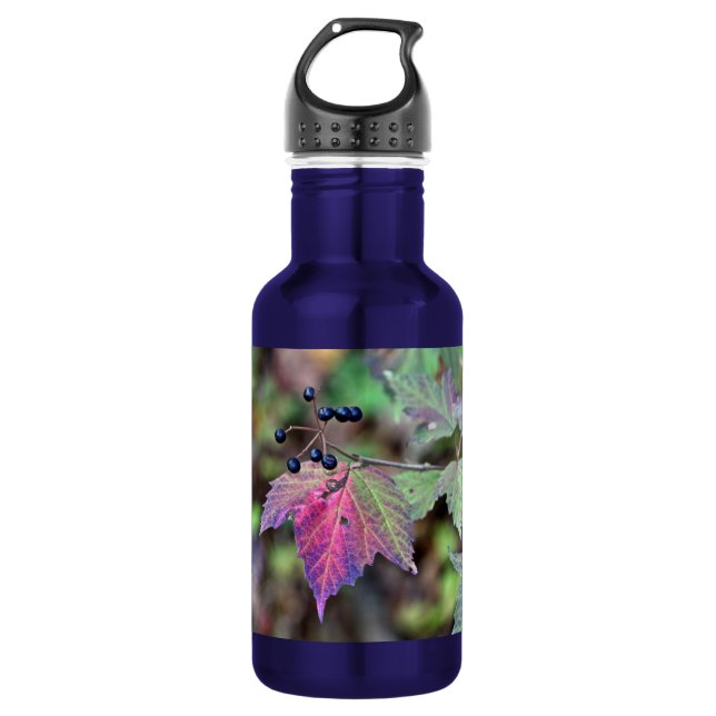 Mapleleaf Viburnum Autumn Leaves and Berries Water Bottle (Front)