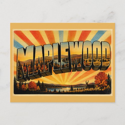 Maplewood Minnesota State Park Glacial Lake Forest Postcard