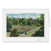 Maplewood Park Rose Garden View (Front Horizontal)
