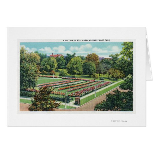 Maplewood Park Rose Garden View (Front Horizontal)