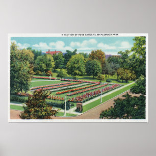 Maplewood Park Rose Garden View Poster
