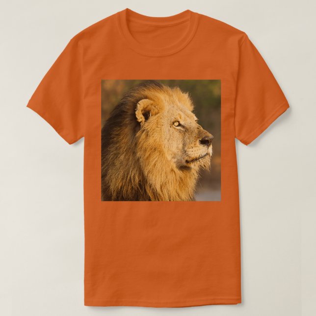 Mapogo lion in his prime T-Shirt (Design Front)