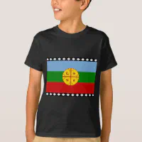 Polera mapuche best sale