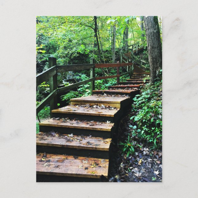 maquoketa caves state park staircase postcard (Front)