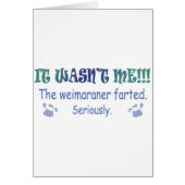 mar112015fartWeimaraner.jpg (Front)