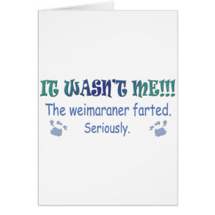 mar112015fartWeimaraner.jpg Cards