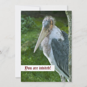Marabou Custom Invitation