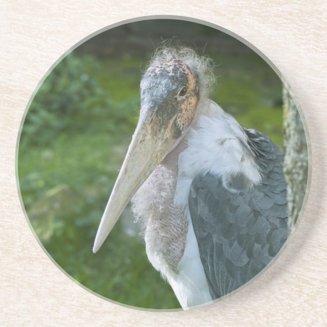 Marabou Drink Coaster (Front)