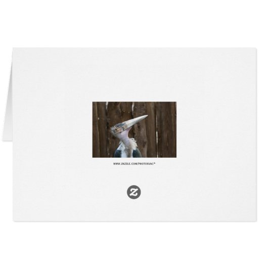 Marabou Stork (Back Horizontal)