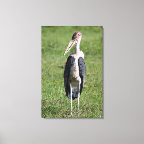 Marabou Stork Leptoptilos Crumeniferus 2 Canvas Print