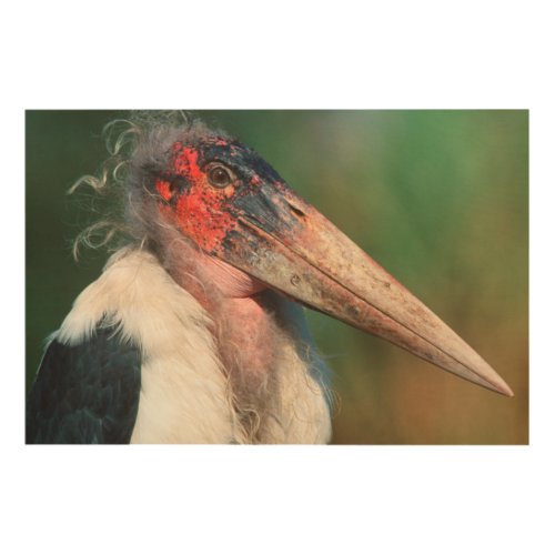 Marabou Stork Leptoptilos Crumeniferus Wood Wall Decor