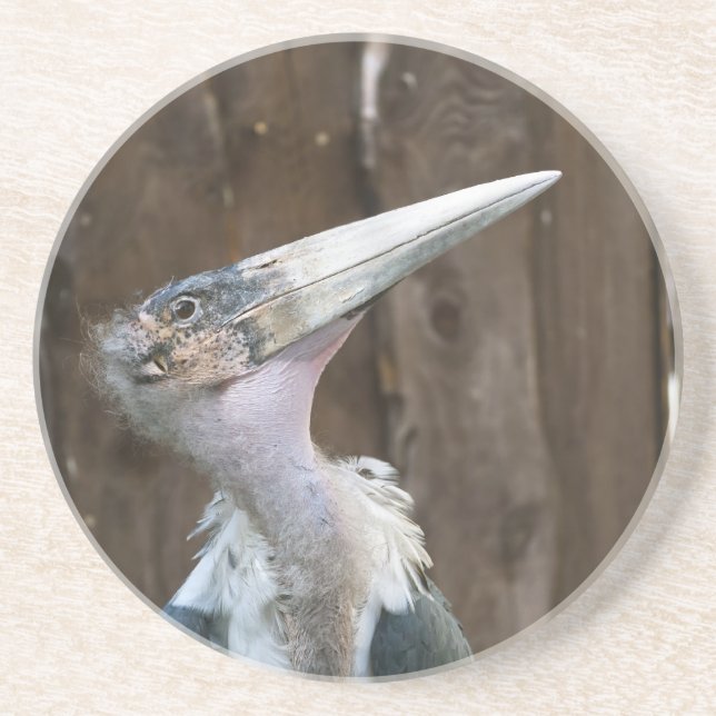 Marabou Stork Sandstone Coaster (Front)
