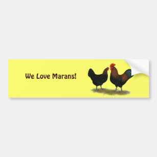 Marans Black Copper Bumper Sticker