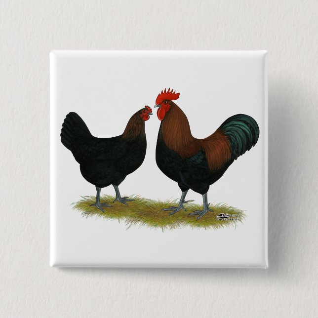 Marans Black Copper Button (Front)