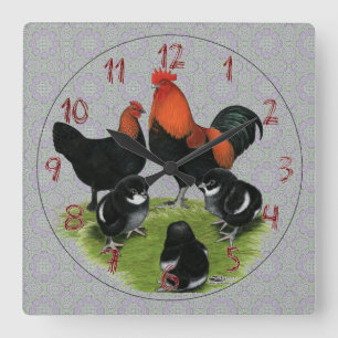 Marans Black Copper Chicken Family Square Wall Clock