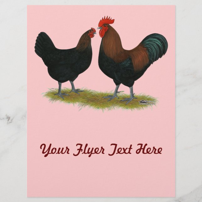 Marans Black Copper Flyer (Front)