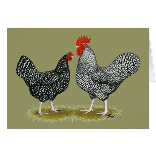 Marans: Cuckoo Pair Cards (Front Horizontal)